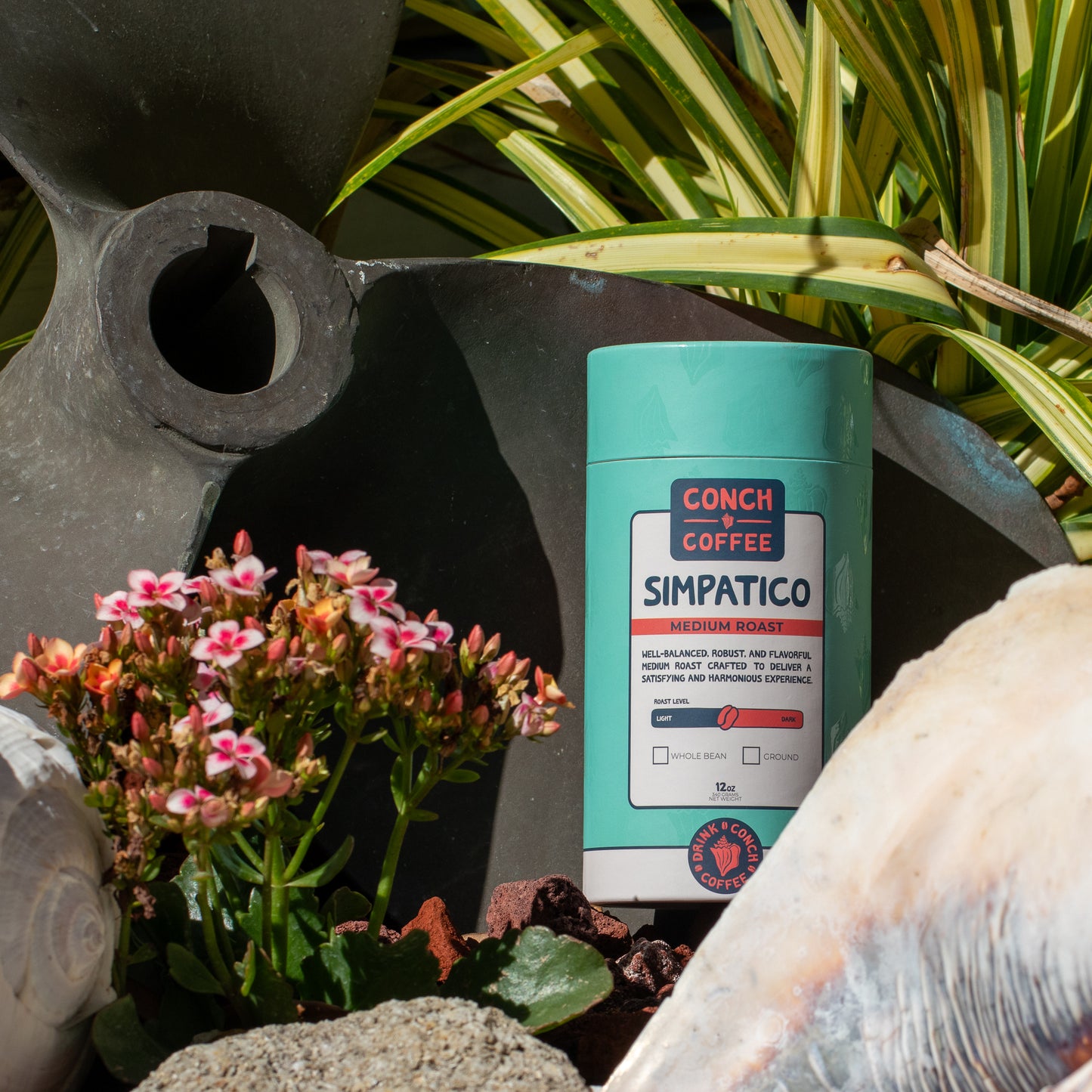 Simpatico - Medium Roast - 12oz